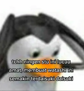 Video sticker 🫶 punya @babyfromheavven ingyh :: @fStikBot