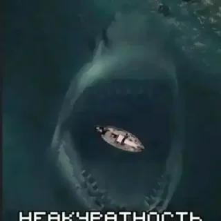 Telegram sticker 🦈 хоппи растяпа