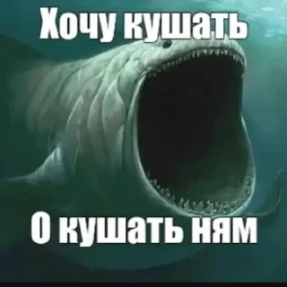 Telegram sticker 🦈 хоппи растяпа