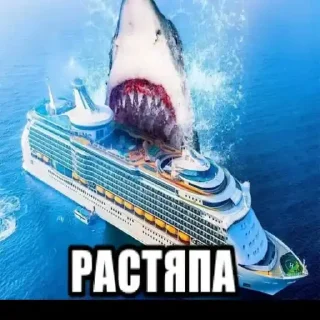 Sticker 🦈 хоппи растяпа