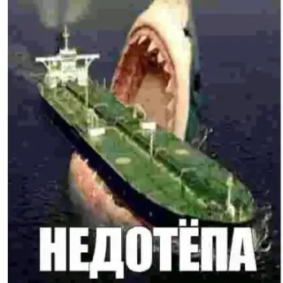 Telegram sticker 🦈 хоппи растяпа