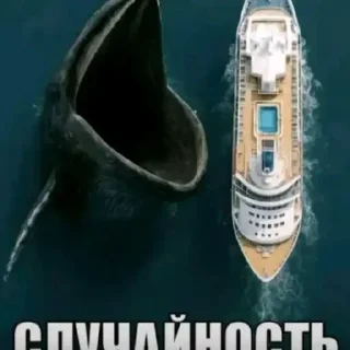 Video sticker 🦈 хоппи растяпа