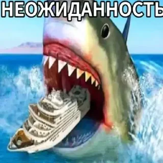 Telegram sticker 🦈 хоппи растяпа