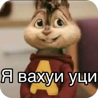 Video sticker 🫥 Лучшие стикеры от @chlenl