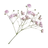 Sticker 💐 混乱 @tj7dp