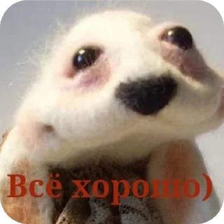 Video sticker 👍 Во всём виноваты бЭсы @MoiStikiBot