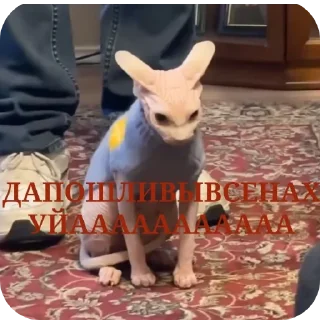 Telegram stiker 👍 Во всём виноваты бЭсы @MoiStikiBot