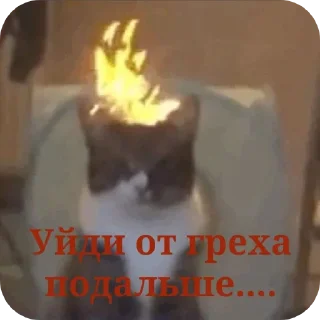 Video sticker 👍 Во всём виноваты бЭсы @MoiStikiBot