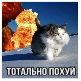 Sticker 🥰 Больше стиков тут: @stikery4