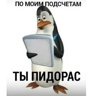 Video sticker 😳 Больше стиков тут: @stikery4