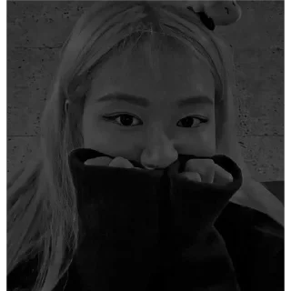 Video sticker 🙂 blackpink2