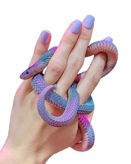 Telegram sticker 💅 zimneyzver