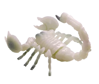 Video sticker ♏️ zimneyzver