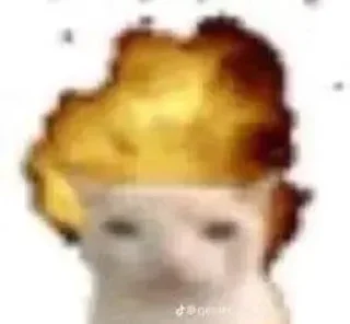Video sticker 🤯 Pets☠️
