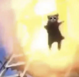 Video sticker 😭 Pets☠️