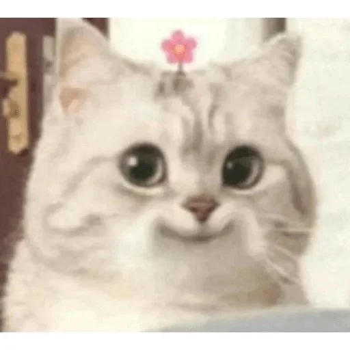 Telegram sticker ⭐ 딸기꼬