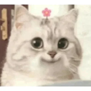 Video sticker ⭐ 딸기꼬