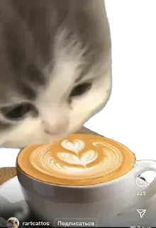 Telegram sticker ☕️ Хапи