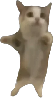 Telegram sticker 🕺 Хапи