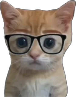 Telegram sticker 🥸 Хапи