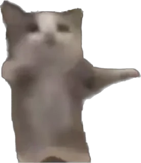 Telegram sticker 👻 Хапи