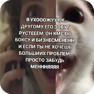 Telegram sticker 🤲 СТРЫКАЛО
