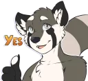 Video sticker 👍 Silvy Grey Red Panda