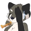 Telegram stiker 😖 Silvy Grey Red Panda
