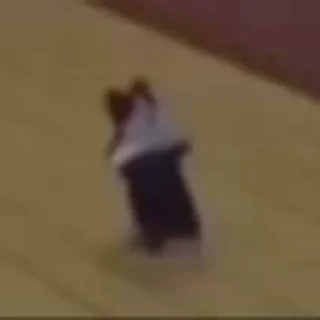 Video sticker 💃 One more time