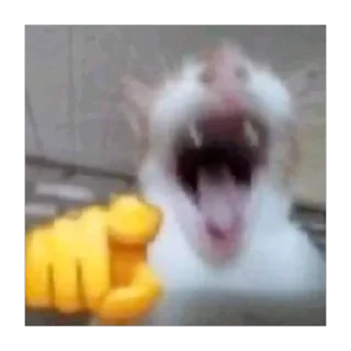 Video sticker 🫥 Samuel meme