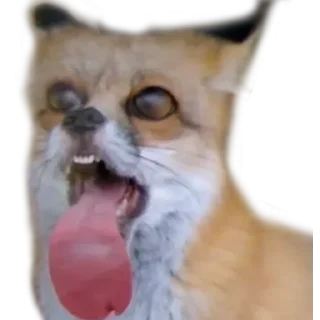 Telegram sticker 🙁 Ready @stickersb2b