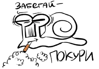 Video sticker 🤩 УЛИТОЧНЫЙ ДУРДОМ @TgEmodziBot