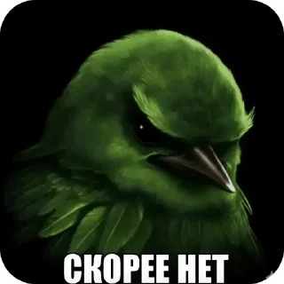 Video sticker 🐦 крутой донатер – @enem1y