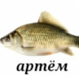 Telegram stiker 🍲 Карасямем