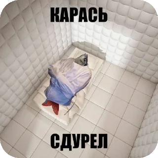 Video sticker 🧱 Карасямем