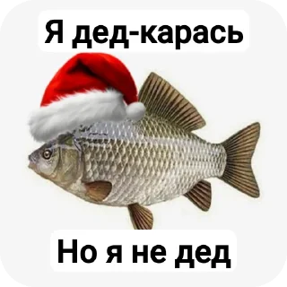 Telegram stiker 🐦 Карасямем