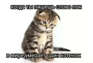 Telegram sticker 😐 Больше стиков тут: @archstick