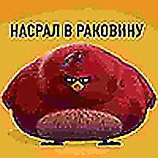 Telegram sticker 🤨 Больше стиков тут: @archstick