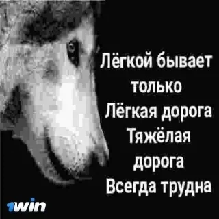 Telegram sticker 🐺 Больше стиков тут: @archstick
