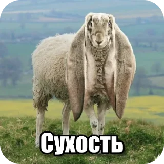 Sticker 🌾 Перефразированные логарифмы 11