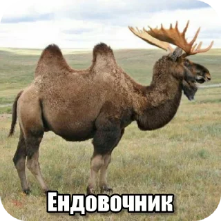 Video sticker 📯 Перефразированные логарифмы 11