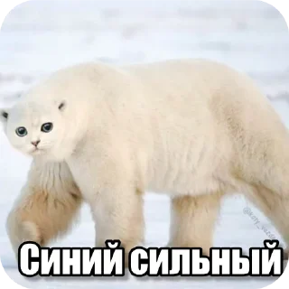 Telegram sticker 🐻 Перефразированные логарифмы 11