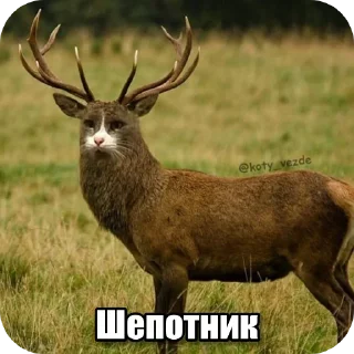 Telegram sticker 👍 Перефразированные логарифмы 11