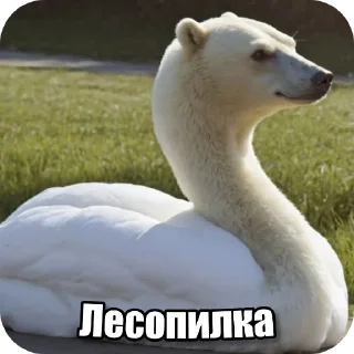 Telegram sticker 🐻 Перефразированные логарифмы 11