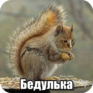 Telegram sticker 🐱 Перефразированные логарифмы 11
