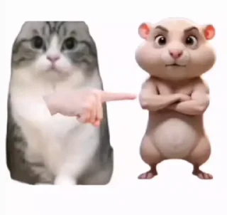 Video sticker 💣 Все стикеры тг кликай и бери 👉 @stiki_tg_nah_canal