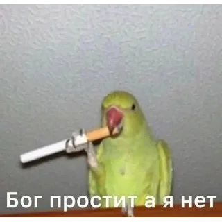 Telegram stiker 🙃 Мой набор стикеров @emojistikerybot