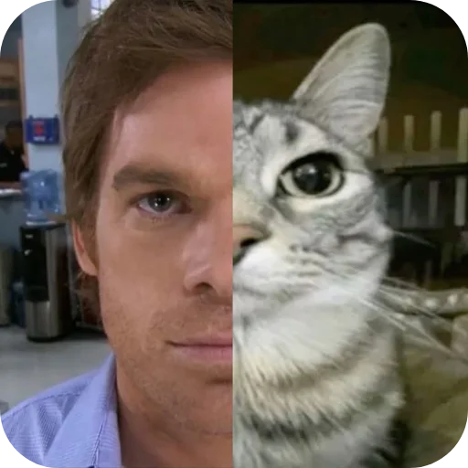 Телеграм стикер 🐱 هذا اني 😍😍😍