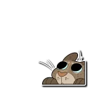 Video sticker 👀 Fekkri