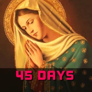 Video sticker 🏆 Rise Up